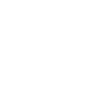 Wag Hotels, Carson