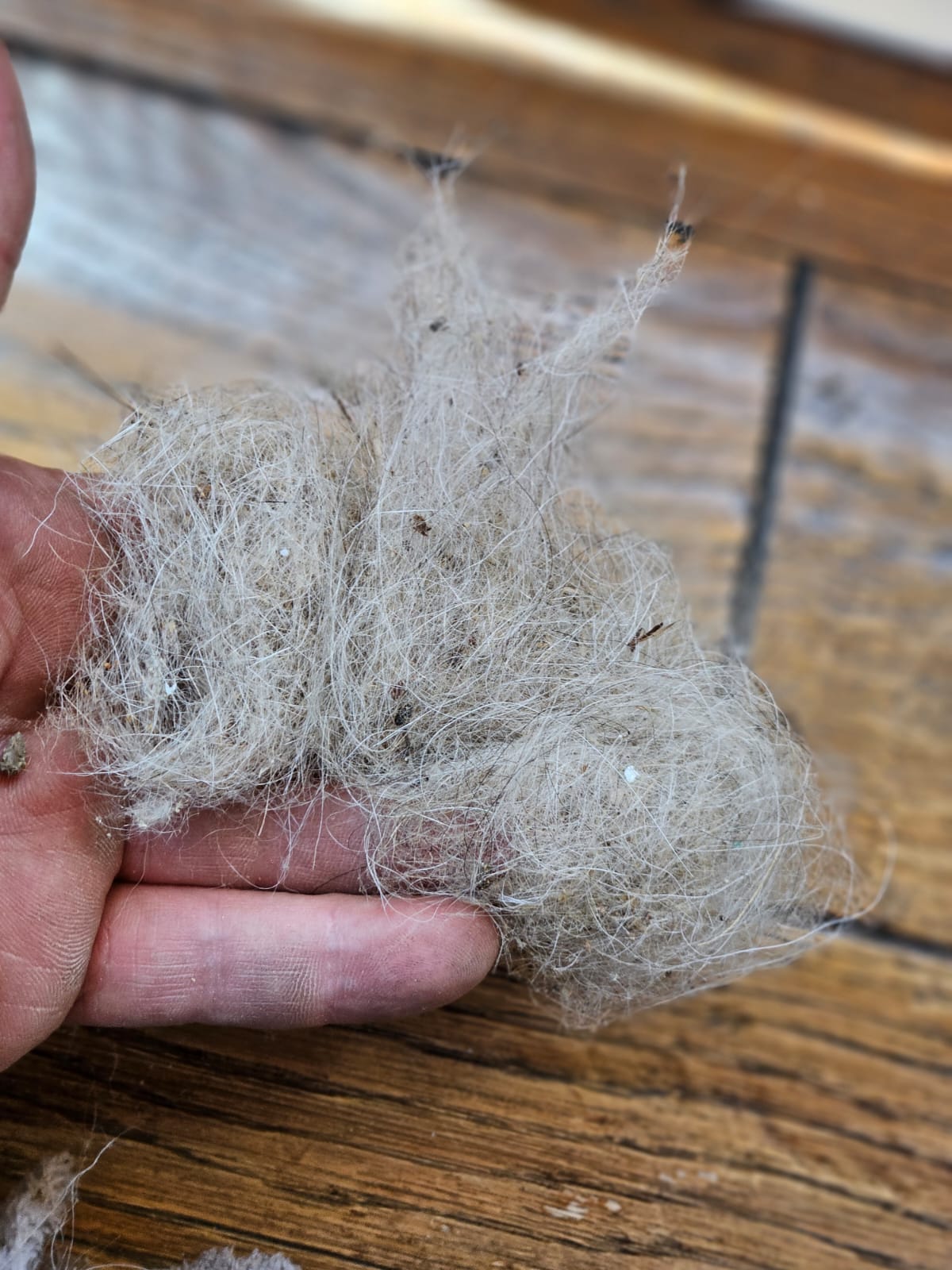 After cleaning - Dryer Vent Cleaning - Fire Hazard Prevention