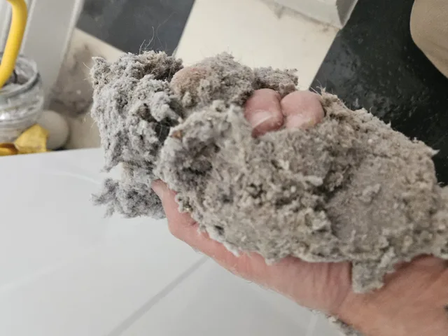 A hand holding collected lint and debris during PAC field work
